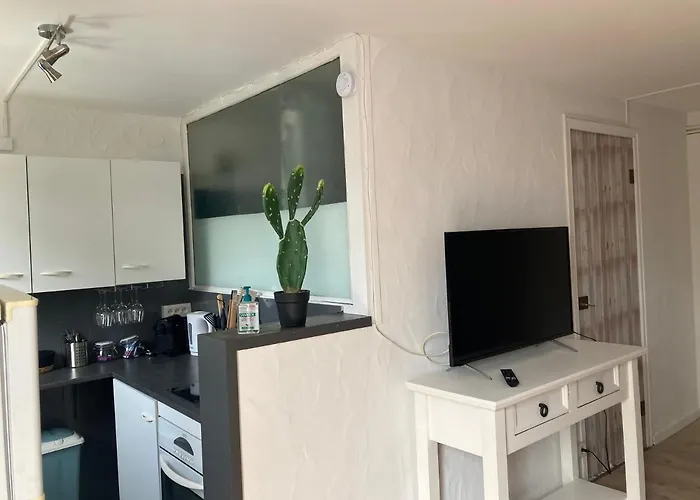 Studio avec grande terrasse et jardin privatif au Pyla